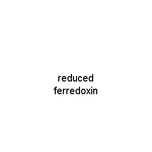reduced ferredoxin